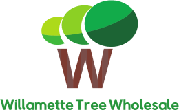 Willamette Tree Wholesale Logo